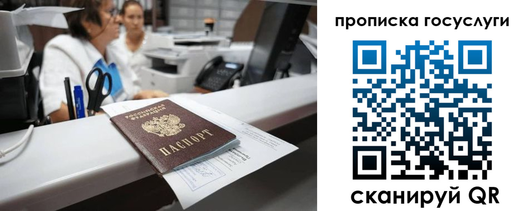 где прописаться в Невеле